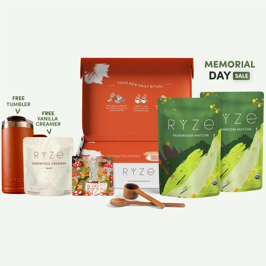 Mushroom Matcha Starter Kit (60 Servings) - Coffee for Busy Days
