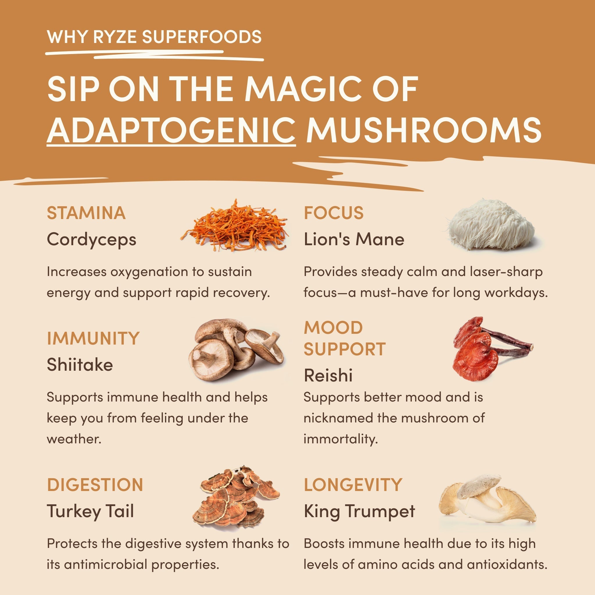 Mushroom Overnight Oats (14 Servings) - Coffee for Everyday Sips