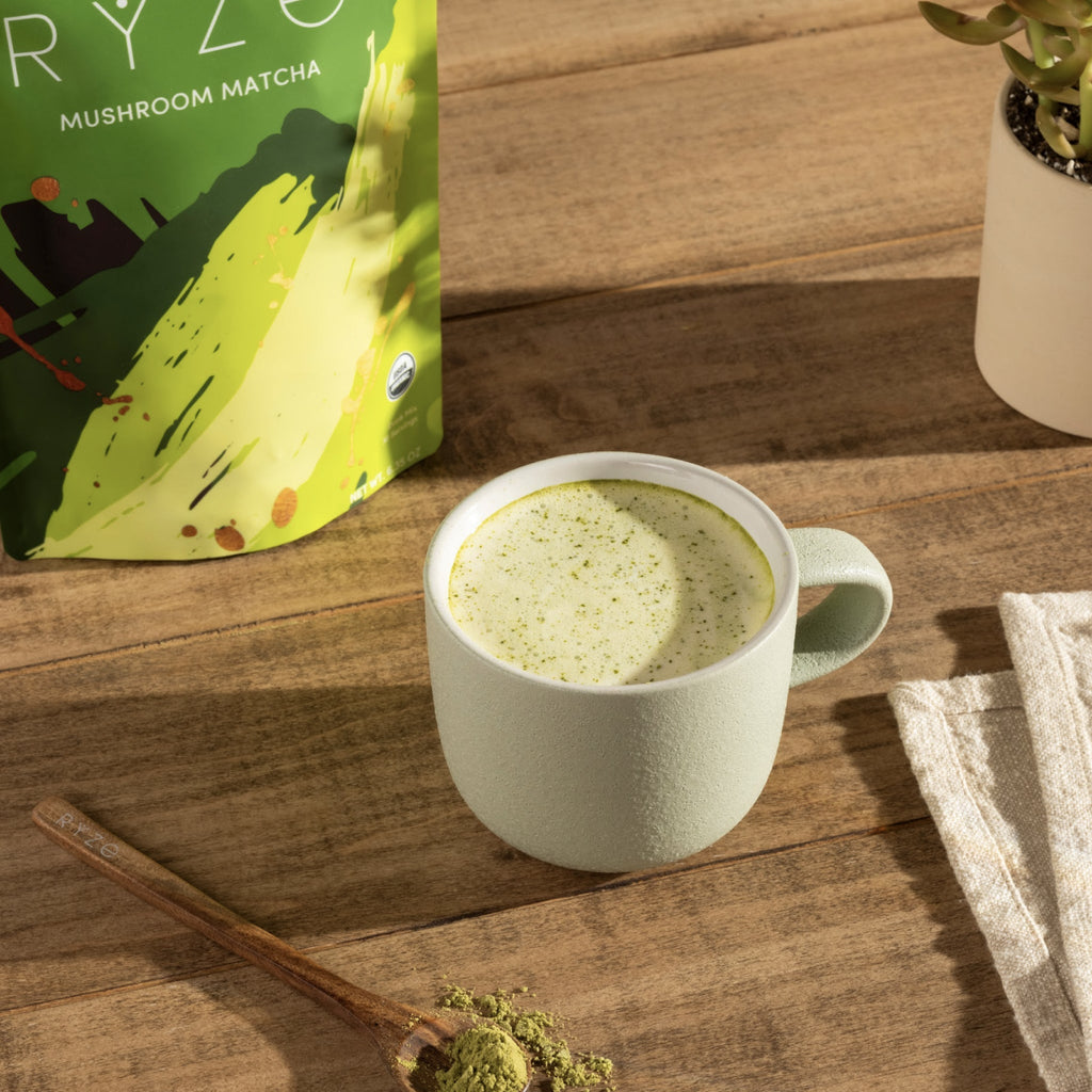 Mushroom Matcha Starter Kit (60 Servings) - Coffee for Busy Days