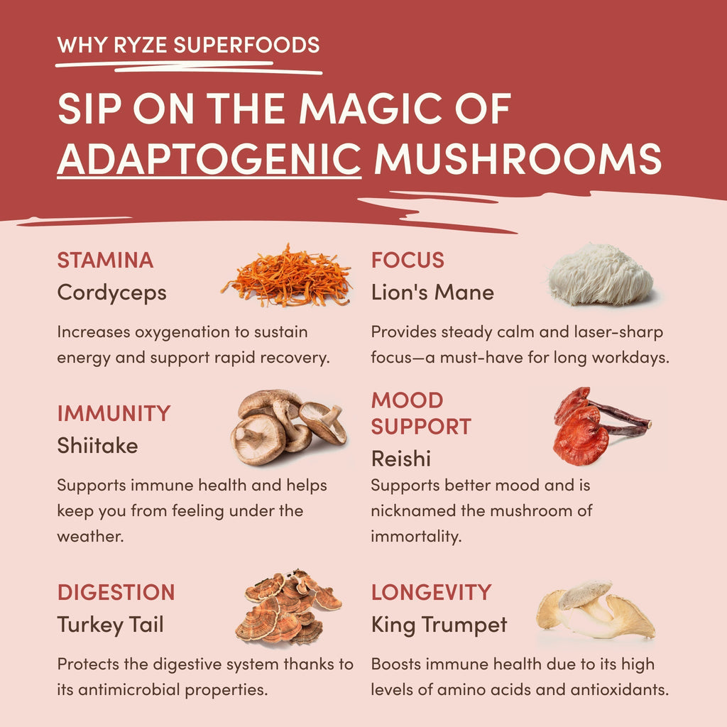 Mushroom Chai (20 Servings) - Coffee for Your Cup